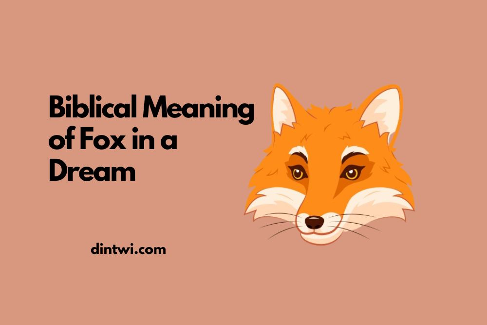 Biblical Meaning of Fox in a Dream cover image