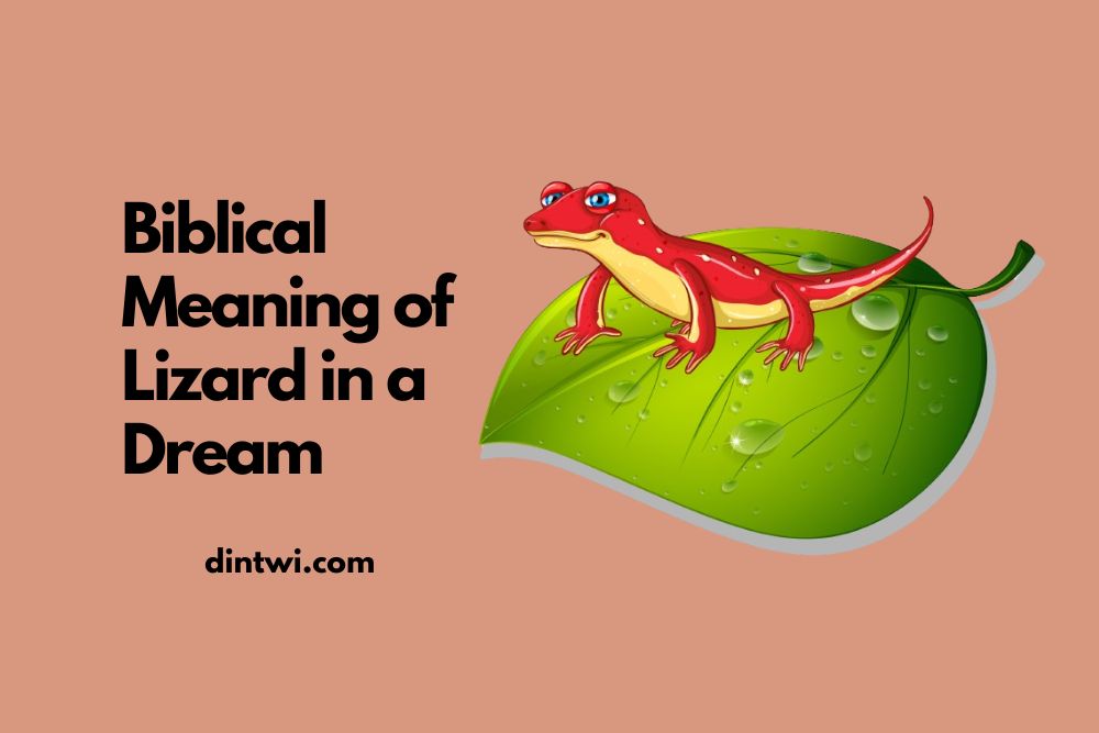 Biblical Meaning of Lizard in a Dream cover image