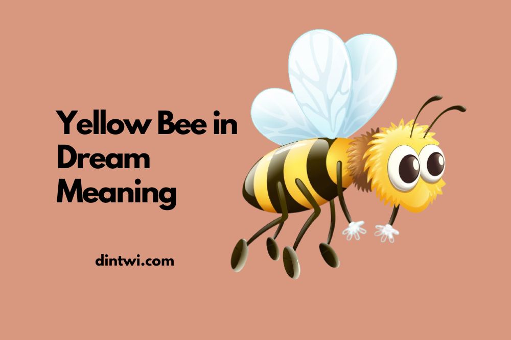 Yellow Bee in Dream Meaning: 9 Powerful Interpretations