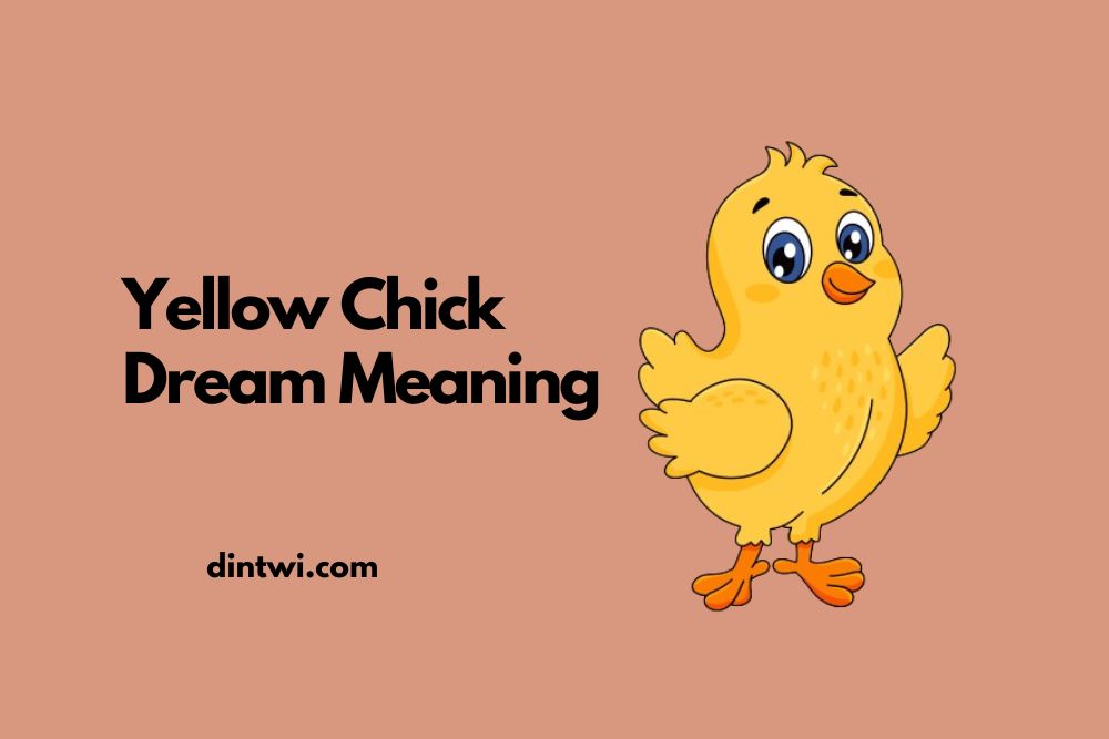 Yellow Chick Dream Meaning: 5 Powerful Interpretations
