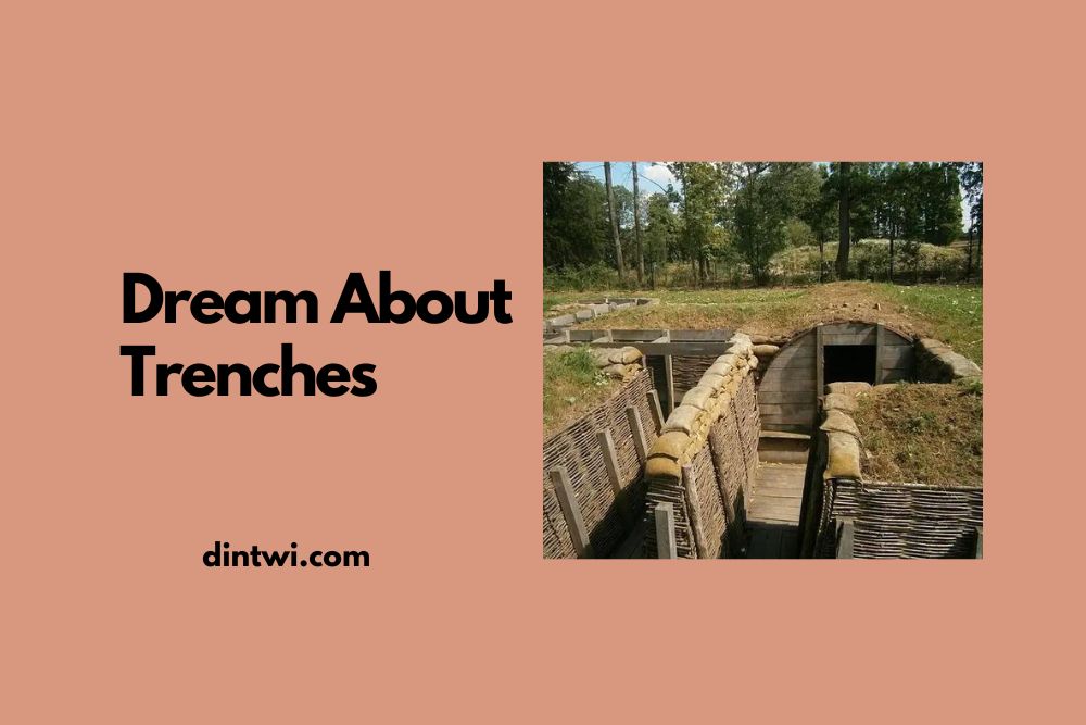 Dream About Trenches cover image