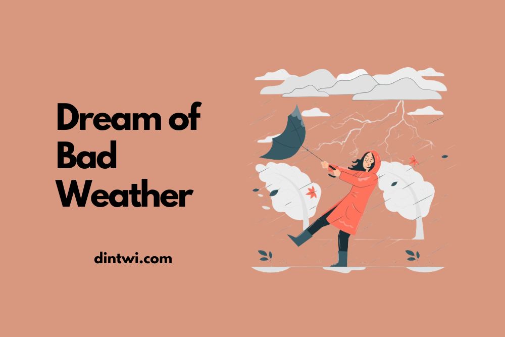 Dream of Bad Weather cover image