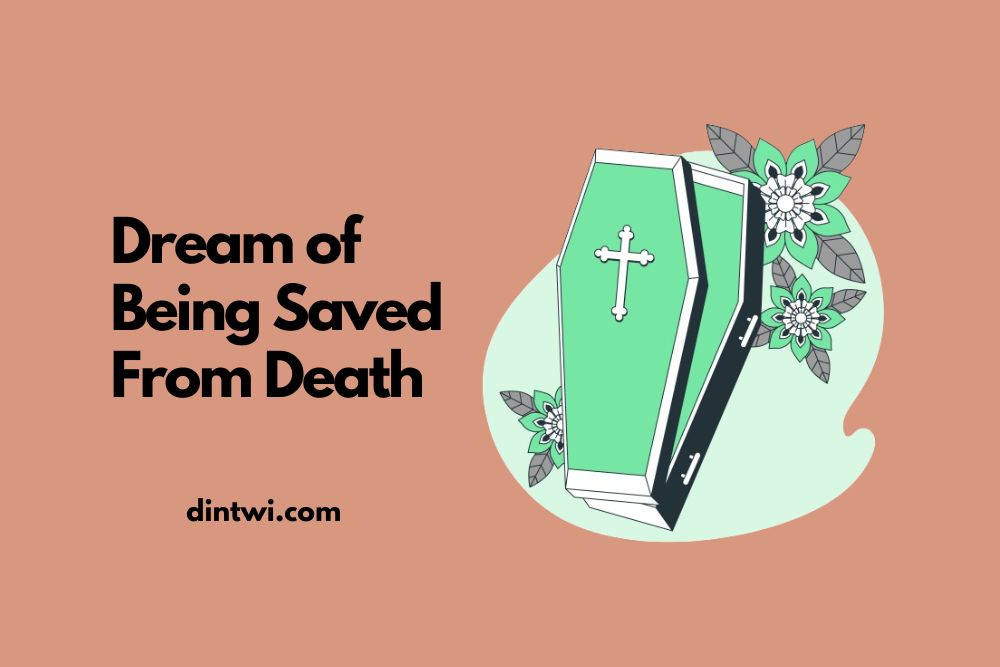 dream of being saved from death cover image