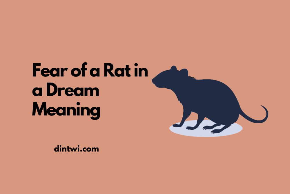 Fear of a Rat in a Dream Meaning cover image