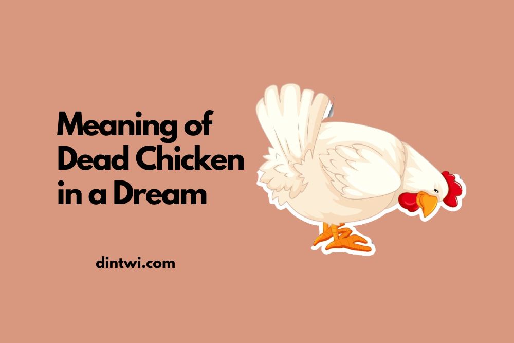 Meaning of Dead Chicken in a Dream cover image