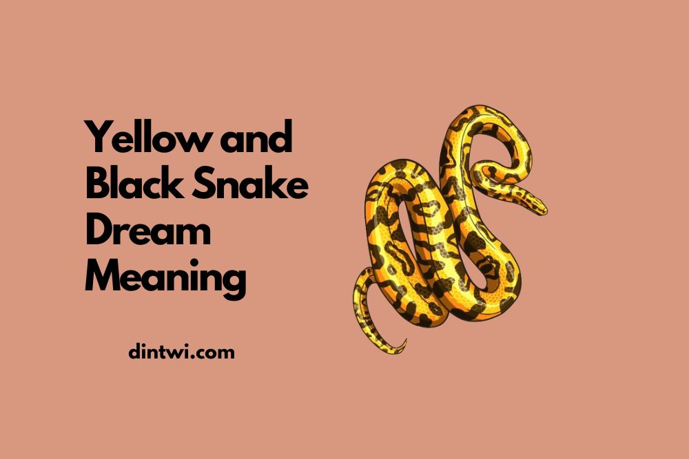 Yellow and Black Snake Dream Meaning