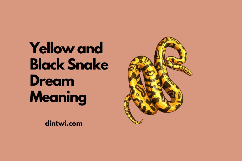 Yellow and Black Snake Dream Meaning cover image